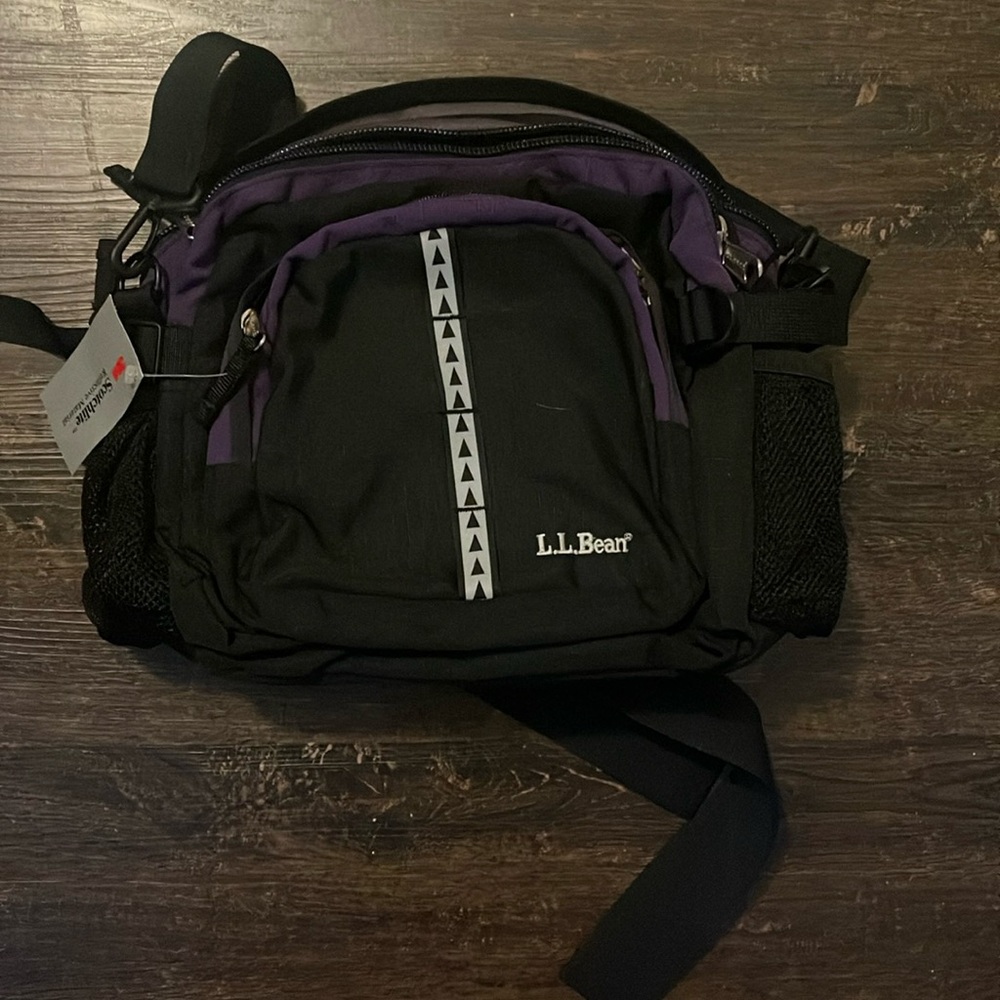 LL BEAN FANNY PACK